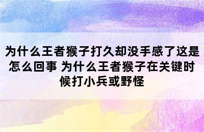 为什么王者猴子打久却没手感了这是怎么回事 为什么王者猴子在关键时候打小兵或野怪